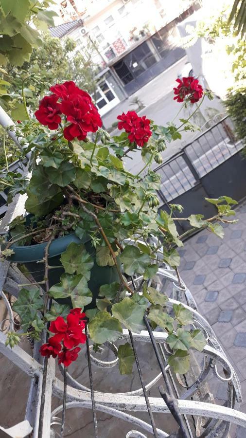 Homestay Izolda Батуми Экстерьер фото